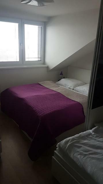 Apartmány Dolní Morava Exterior foto